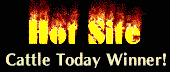 Cattle Today Hot Site Winner